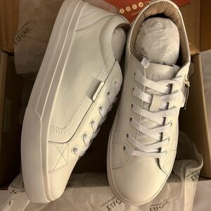 Taos Plim Soul Lux Leather Shoes